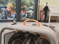 -瑞鹏宠物医院犬猫全科(真大分院)