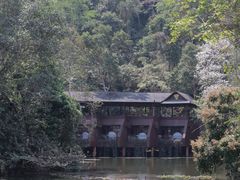 -野象谷景区