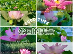 -陶然亭公园