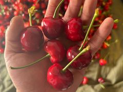 -江杨农产品批发市场