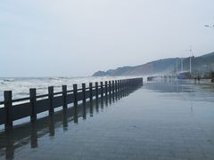 -大鹿岛