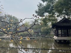 -绍兴鲁迅故里·沈园景区