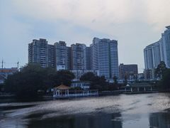 -荔湾湖公园