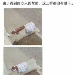 -17.壹柒·美学高定空间