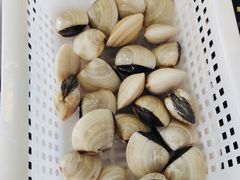 -蚝专家