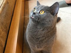 -Catmate·猫肥家润(金润铂宫店)