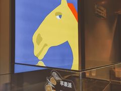 -春丽小马(济南恒隆广场店)