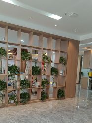-碧莲盛·不剃发植发