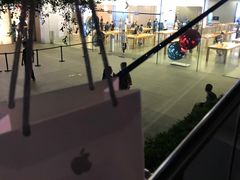 -Apple零售店(深圳益田假日广场店)