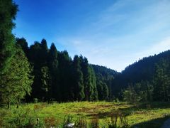 -武陵山森林公园