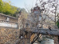 -老张烤羊(王哥庄店)