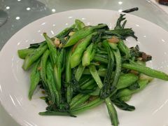生炒菜心-万圣禄茶楼(西平店)