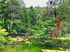 -西芳寺(苔寺)