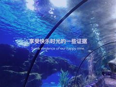 -郑州海洋馆