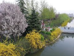 -洛阳市隋唐城遗址植物园