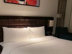 -上海浦东国际旅游度假区绿地铂骊酒店