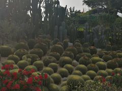 -胡里山炮台