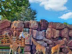 -济南野生动物世界