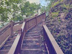-冠豸山景区