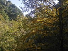 -宁波五龙潭景区