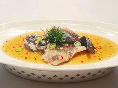 -醉辉皇原味海鲜江南菜(成都大魔方店)