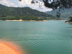 -广州市流溪河国家森林公园