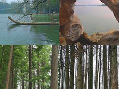 -东湖落雁景区