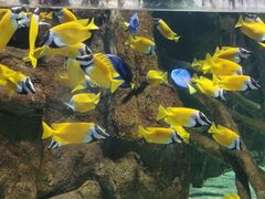 -欢乐海岸海洋奇梦馆
