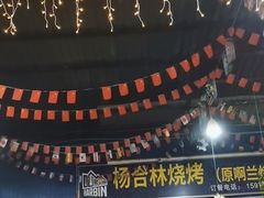 -杨合林啊兰烤鱼
