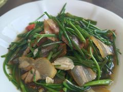 -天目湖刘老四农庄