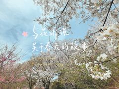 -苏州上方山国家森林公园
