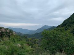 -大岭沟猕猴桃谷风景区
