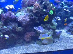 -成都浩海立方海洋公园