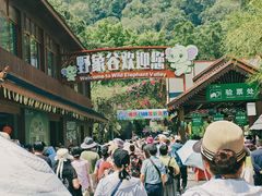 -野象谷景区