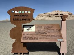 -敦煌雅丹国家地质公园