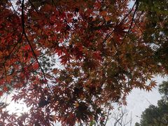 -汇龙潭