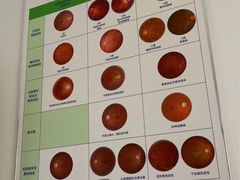 -宝岛眼镜(常熟珠江路欧尚店)