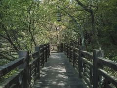 -白马涧龙池景区