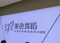 -单色舞蹈