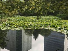 -北海道厅旧本厅舍(旧本庁舎)