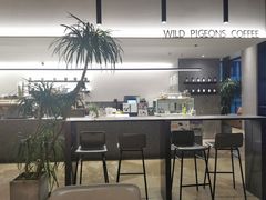 -野鸽子咖啡(中航店)