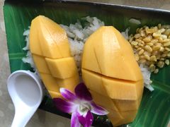 -Jungle Kitchen