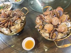 -老家黄墩小错鸡·活海鲜