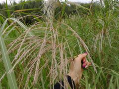 -吉庆街美食广场