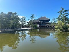 -奈良公园