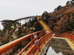 -少华山国家森林公园