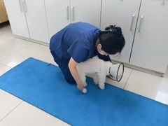 -派美特宠物医院·核磁CT·骨科肿瘤·疑难转诊(沈农禾丰店)
