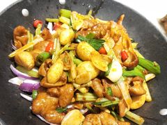 -新侨小馆(东直门北小街店)