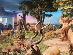 -国家自然博物馆