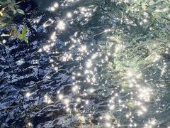 -乡土特色.冷锅鱼.牦牛肉汤锅